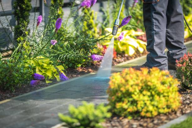 Trusted Chandler, AZ Pressure Washing Services Experts